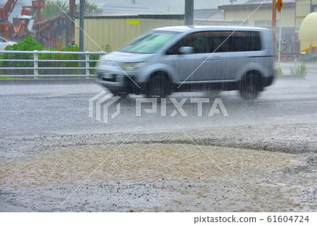 rain  61604724