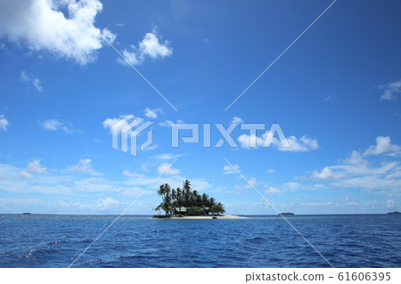 South Island South Island 61606395