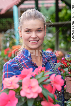 Young woman gardening in greenhouse.She selecting 61606906