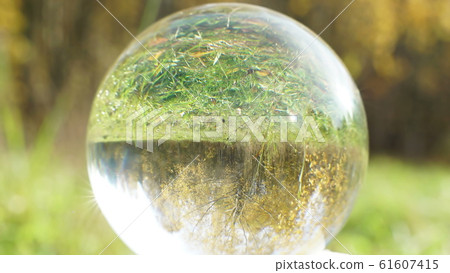 Nature Video Scenario scene close up in crystal Nature Video Scenario scene close up in crystal 61607415