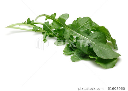 Bunch of fresh rucola isolated on white 61608960