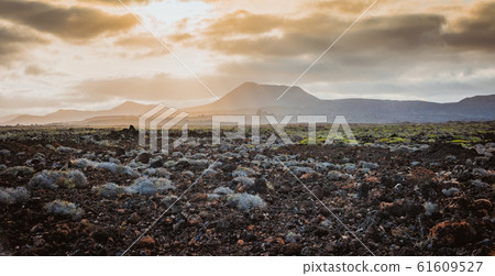volcanic landscape at sunset in Timanfaya National Park Lanzarote Canary Islands volcanic landscape at sunset in Timanfaya National Park Lanzarote Canary Islands 61609527