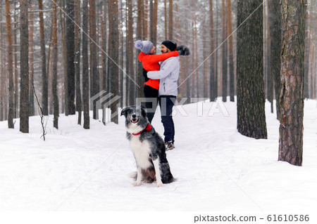 border collie dog sitting in the winter forest on border collie dog sitting in the winter forest on 61610586