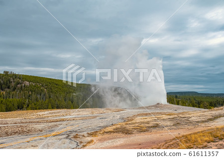 Yellowstone National Park in Wyoming 61611357