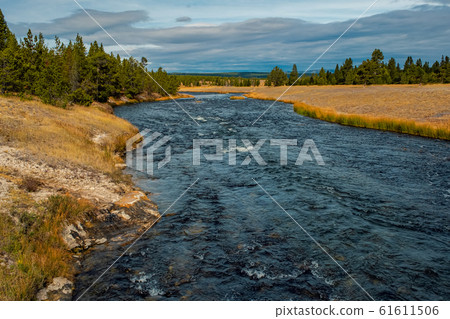 Yellowstone National Park in Wyoming 61611506