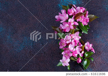 Spring tree flowers Spring tree flowers 61611696