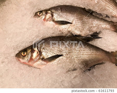 A whole fish with scales and a head of juicy A whole fish with scales and a head of juicy 61611793