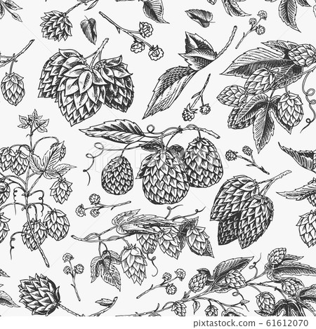 Hops and Barley Seamless pattern. Malt Beer. Engraved vintage Hand drawn collection. Sketch for web 61612070