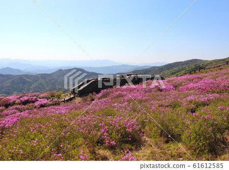 Aerial View of Hwangmaesan Mountain, Hapcheon, Gyeongnam, South Korea, Asia 61612585