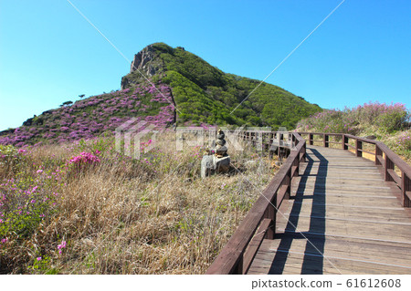 Aerial View of Hwangmaesan Mountain, Hapcheon, Gyeongnam, South Korea, Asia 61612608