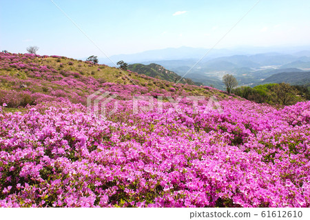 Aerial View of Hwangmaesan Mountain, Hapcheon, Gyeongnam, South Korea, Asia 61612610