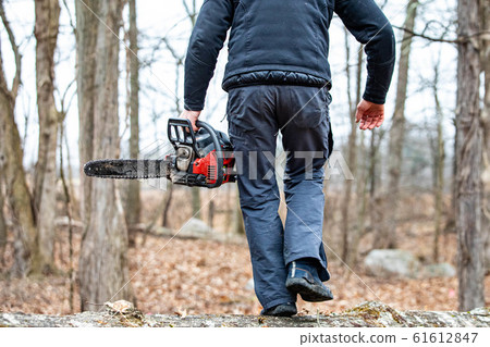 Lumberjack using a Gas-Powered Chain Saw cutting 61612847