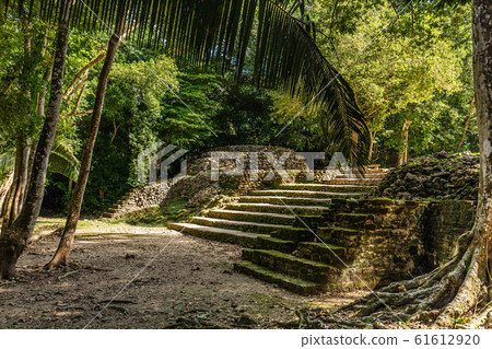 Lamanai archaeological reserve mayan ruins in 61612920