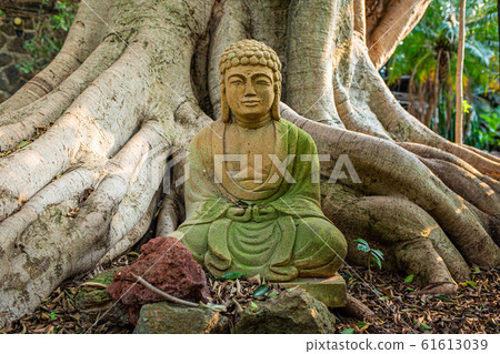 Old buddha statue meditation religious symbol holy 61613039