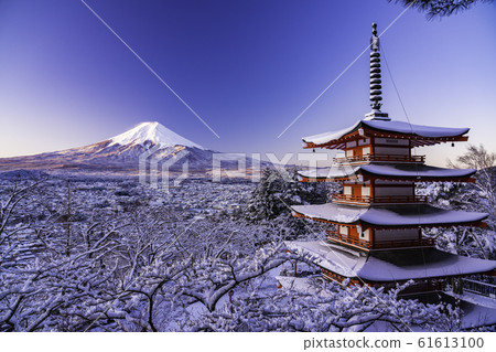(Yamanashi Prefecture) The beauty of Japan, snow-covered Arakurayama Asama Park, Chureito Pagoda and Mt. Fuji 61613100