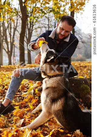 Hipster stylish guy with his husky dog in autumn Hipster stylish guy with his husky dog in autumn 61613616