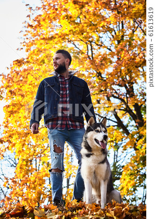Hipster stylish guy with his husky dog in autumn Hipster stylish guy with his husky dog in autumn 61613619