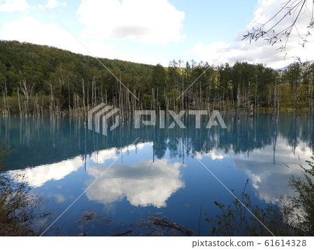 Biei's Blue Pond 61614328