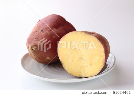 半切紅色阿祖瑪 半切紅色阿祖瑪 61614401