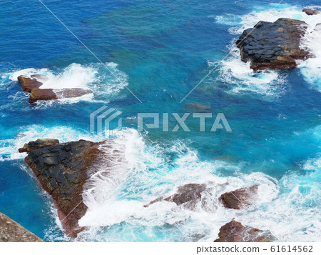 與那國島（東崎） 61614562