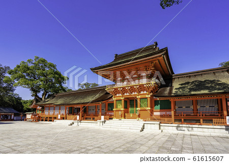 Usa Jingu Shrine Uemiya Minamichuromon Gate Usa City, Oita Prefecture 61615607