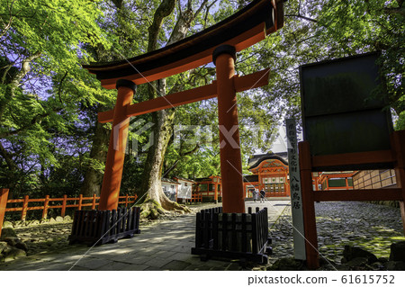 Usa Shrine, Uemiya Nishidaimon, Hachiman Torii, Usa City, Oita Prefecture Usa Shrine, Uemiya Nishidaimon, Hachiman Torii, Usa City, Oita Prefecture 61615752