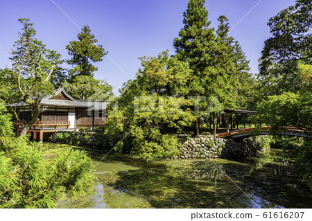 Usa Jingu Ryogata Pond Nobuta Usa City, Oita Prefecture Usa Jingu Ryogata Pond Nobuta Usa City, Oita Prefecture 61616207