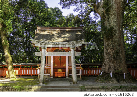 Usa Shrine Yasaka Shrine Usa City, Oita Prefecture 61616268