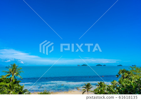 Beautiful tropical sea ocean with coconut palm tree on blue sky white cloud 61618135