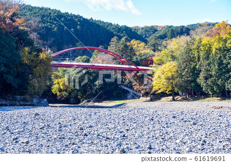 Hannogawara of autumn leaves 61619691