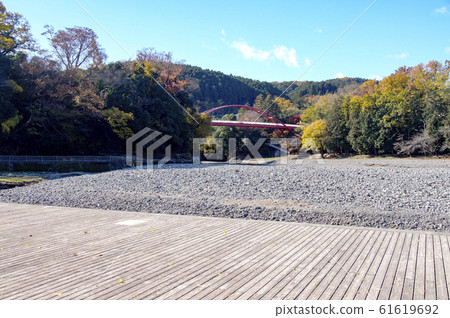 Hannogawara of autumn leaves 61619692