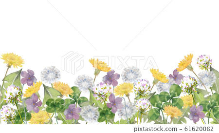 Spring field: Dandelion, clover, violet 61620082