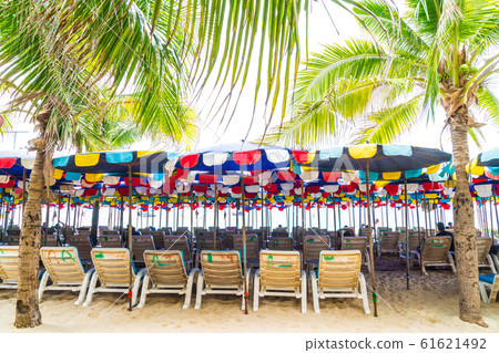 Palm with umbrella and chair on beach Palm with umbrella and chair on beach 61621492
