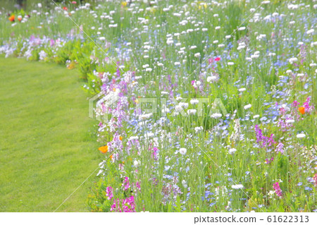Flower garden Flower garden 61622313