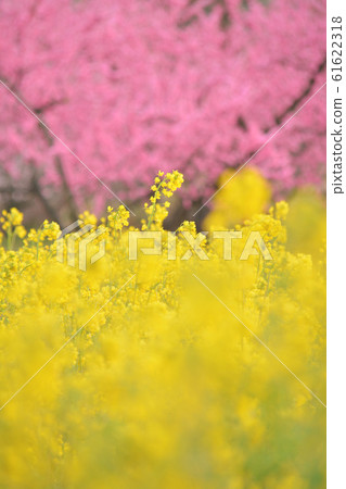 福島縣福島市Hanamomonosato飯坂溫泉 福島縣福島市Hanamomonosato飯坂溫泉 61622318