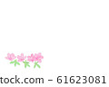 Azalea, purple, young leaves 61623081