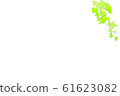 Houseplants, Vine, Ivy, Mona Lisa-3 61623082