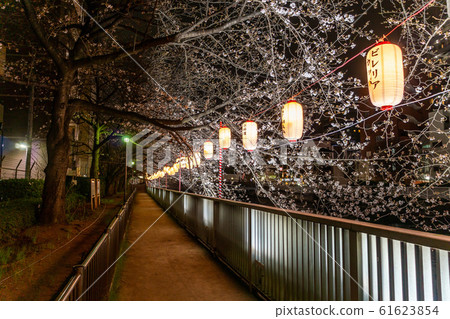 Monzen-Nakamachi night cherry blossoms 61623854
