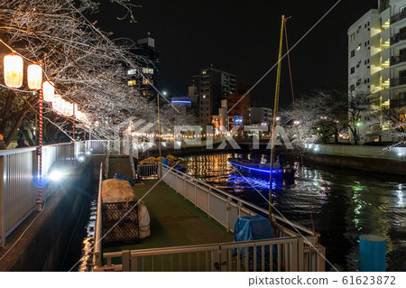 Monzen-Nakamachi night cherry blossoms Monzen-Nakamachi night cherry blossoms 61623872