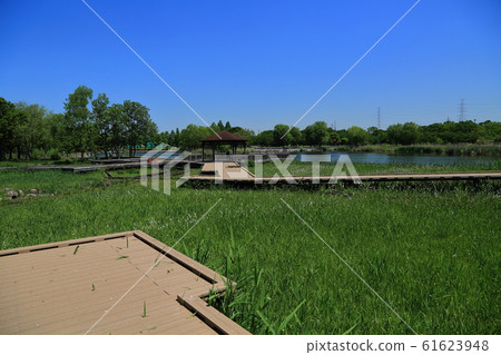 東寧公園大池 61623948