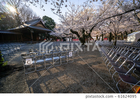 靖國神社櫻花和能劇場 靖國神社櫻花和能劇場 61624095