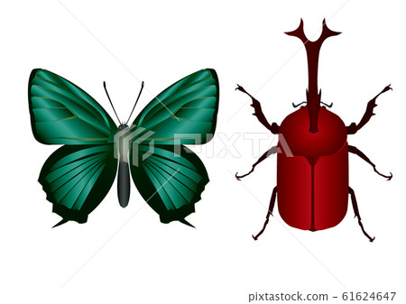 Ainomidori shijimi和甲蟲 Ainomidori shijimi和甲蟲 61624647