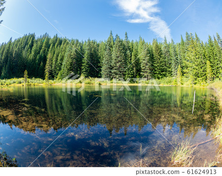 Kinzel Lake (Oregon, USA) 61624913