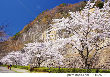 Zaimokuiwa Park in Spring (Shiroishi City, Miyagi Prefecture) Zaimokuiwa Park in Spring (Shiroishi City, Miyagi Prefecture) 61626188