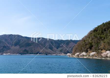 從海角對岸的大崎海津的櫻花風景 61626223
