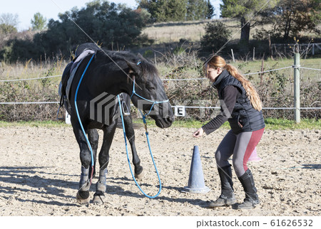 riding girl and horse 61626532