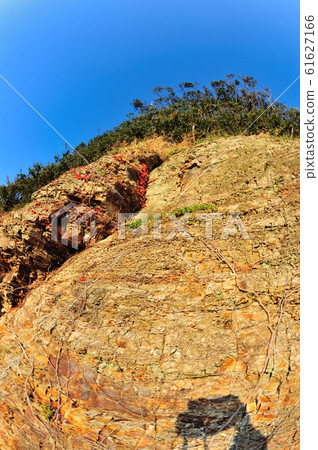 漢博先生 61627166