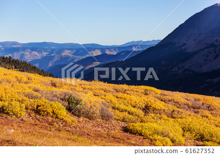 Autumn in Colorado Autumn in Colorado 61627352