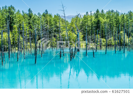 Biei-cho Shirogane Blue Pond 61627501