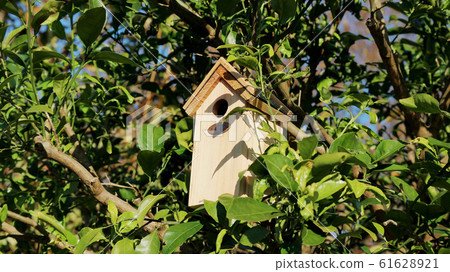 Hive box Hive box 61628921